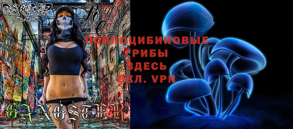 ешки Арсеньев