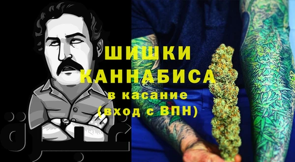 ешки Арсеньев
